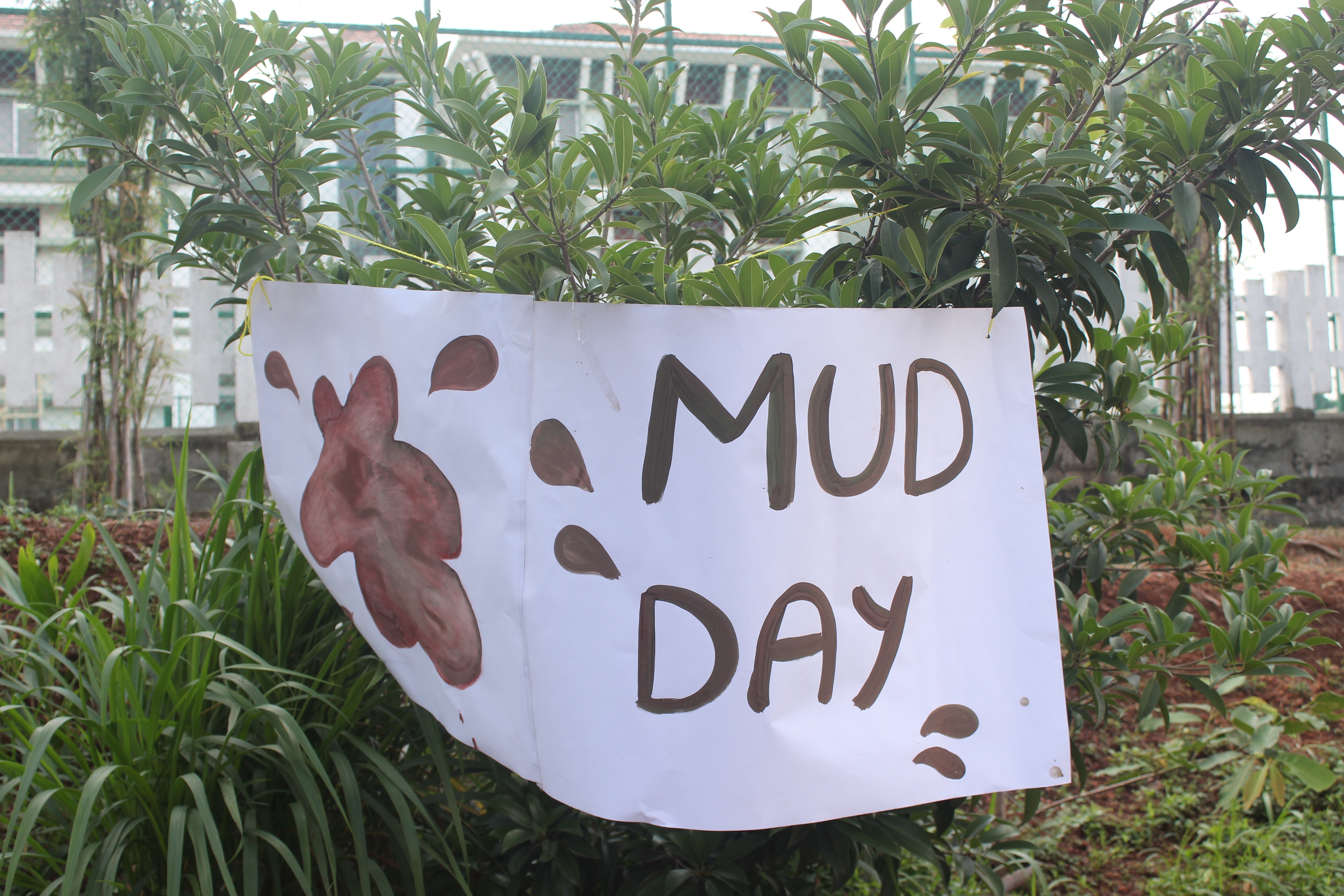 International Mud Day 2019